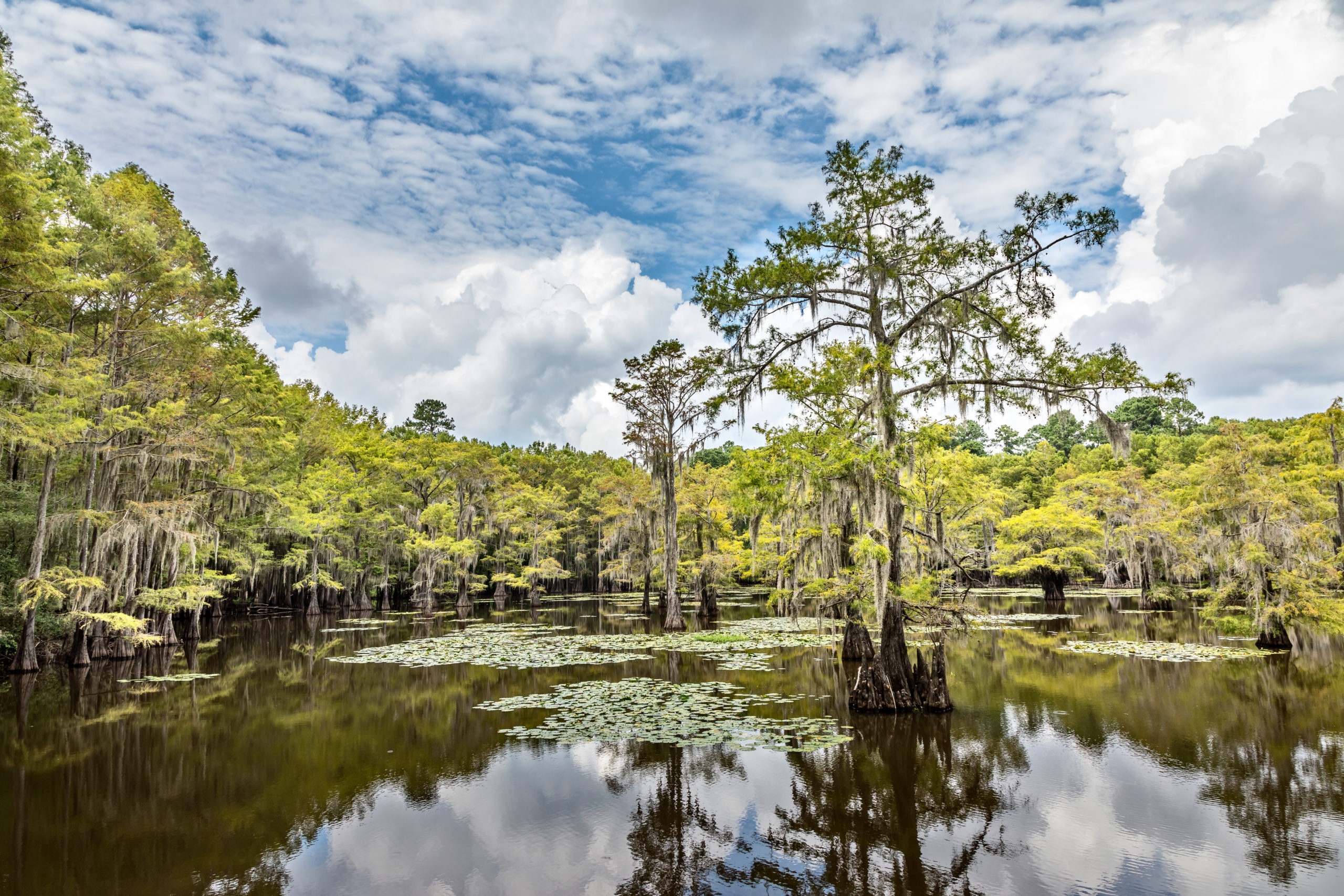 The ‘Uncertain’ Origins of a Community at Caddo Lake’s Front Door