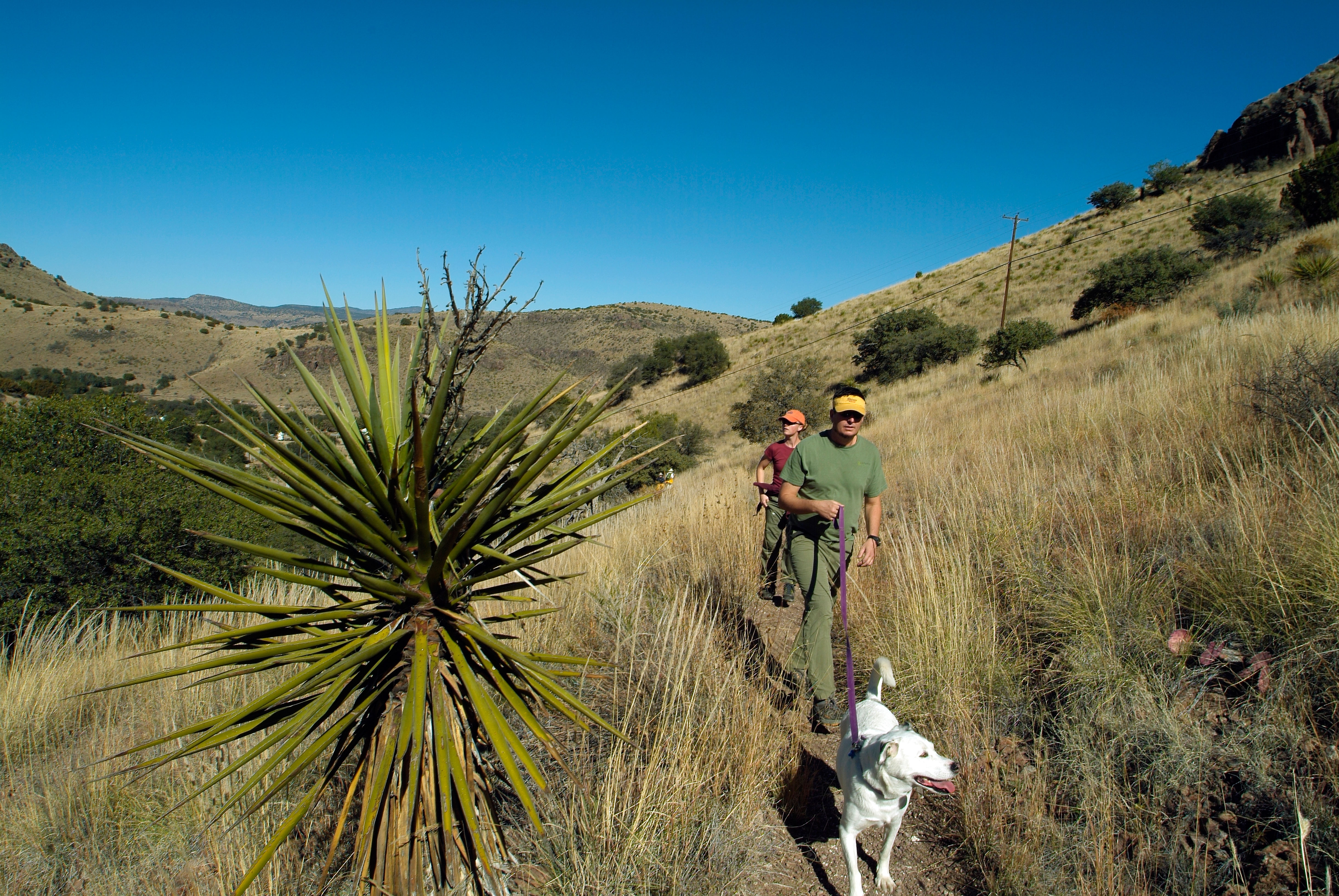 dog-friendly activities west texas