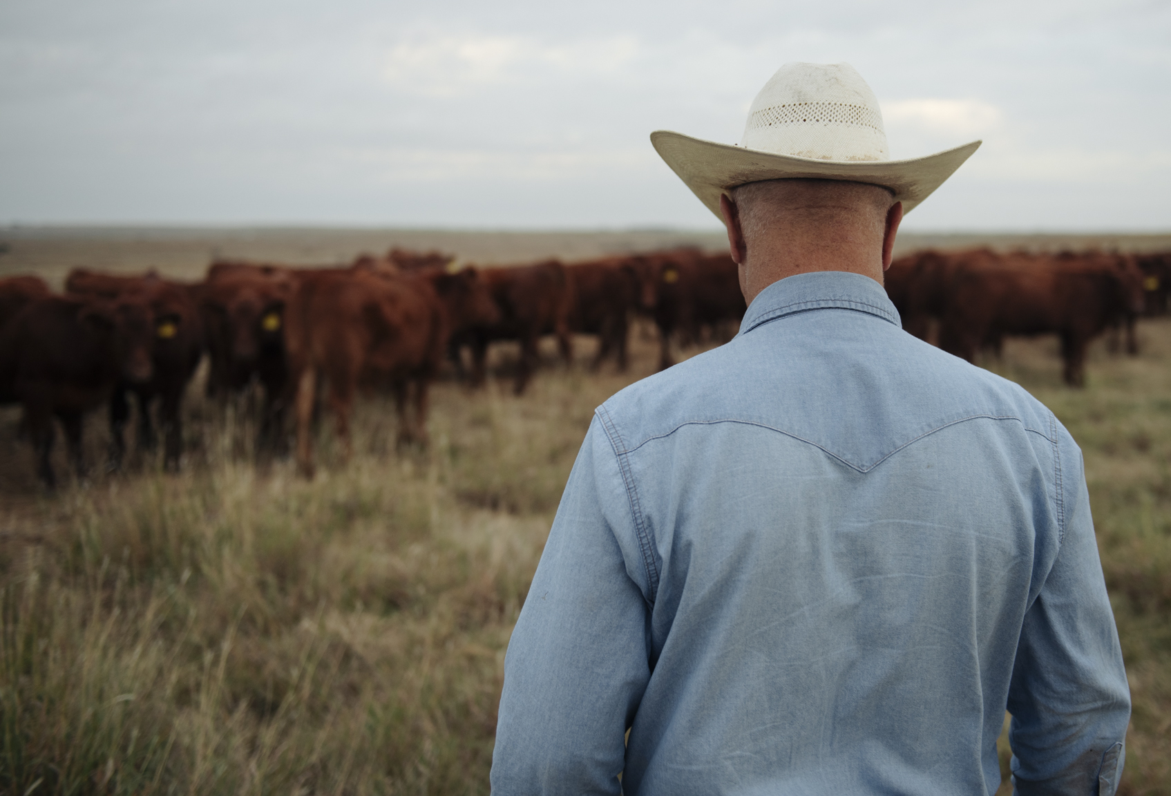 What a Pandemic Means for Texas Farmers and Ranchers