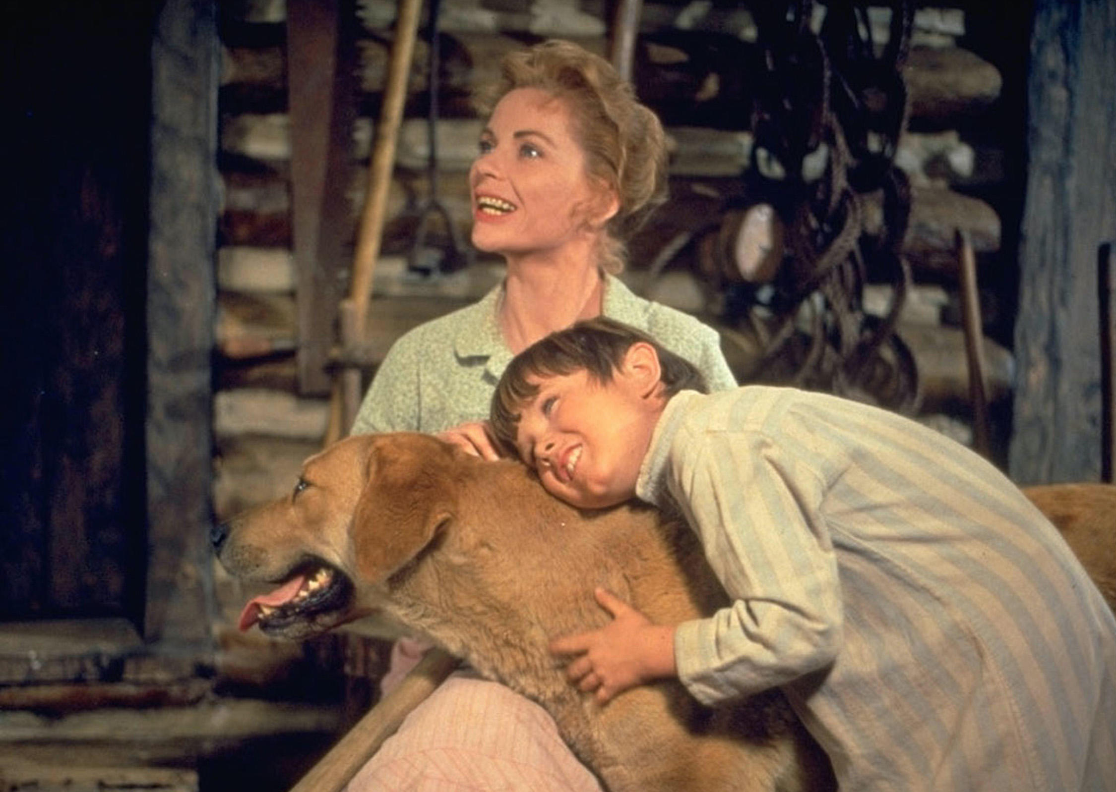 DIY Movie Night Movies