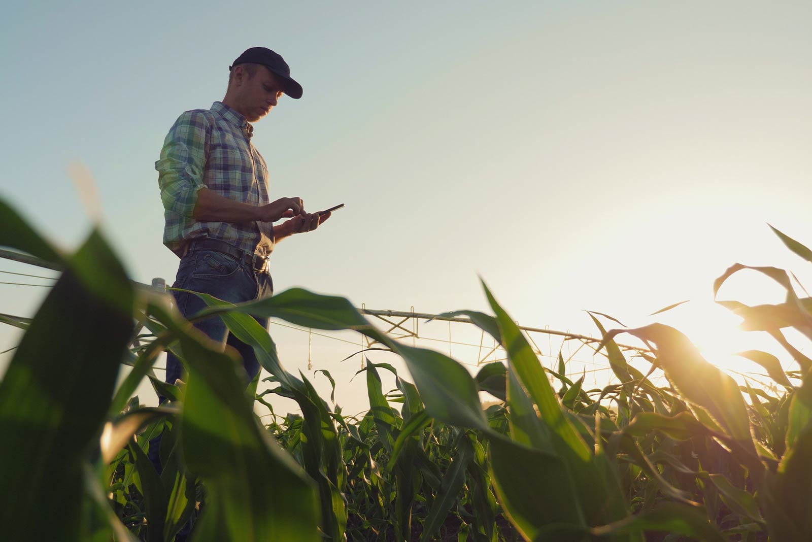 5 Benefits of Having a Texas AgAdvantage Policy