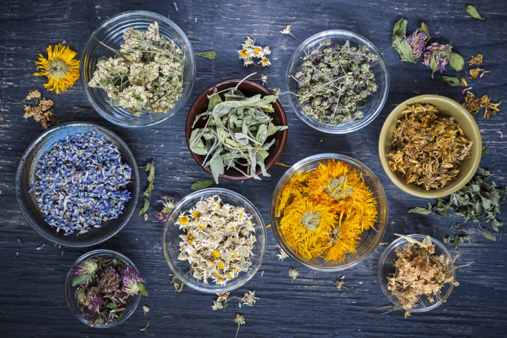 How to Dry Your Own Herbs