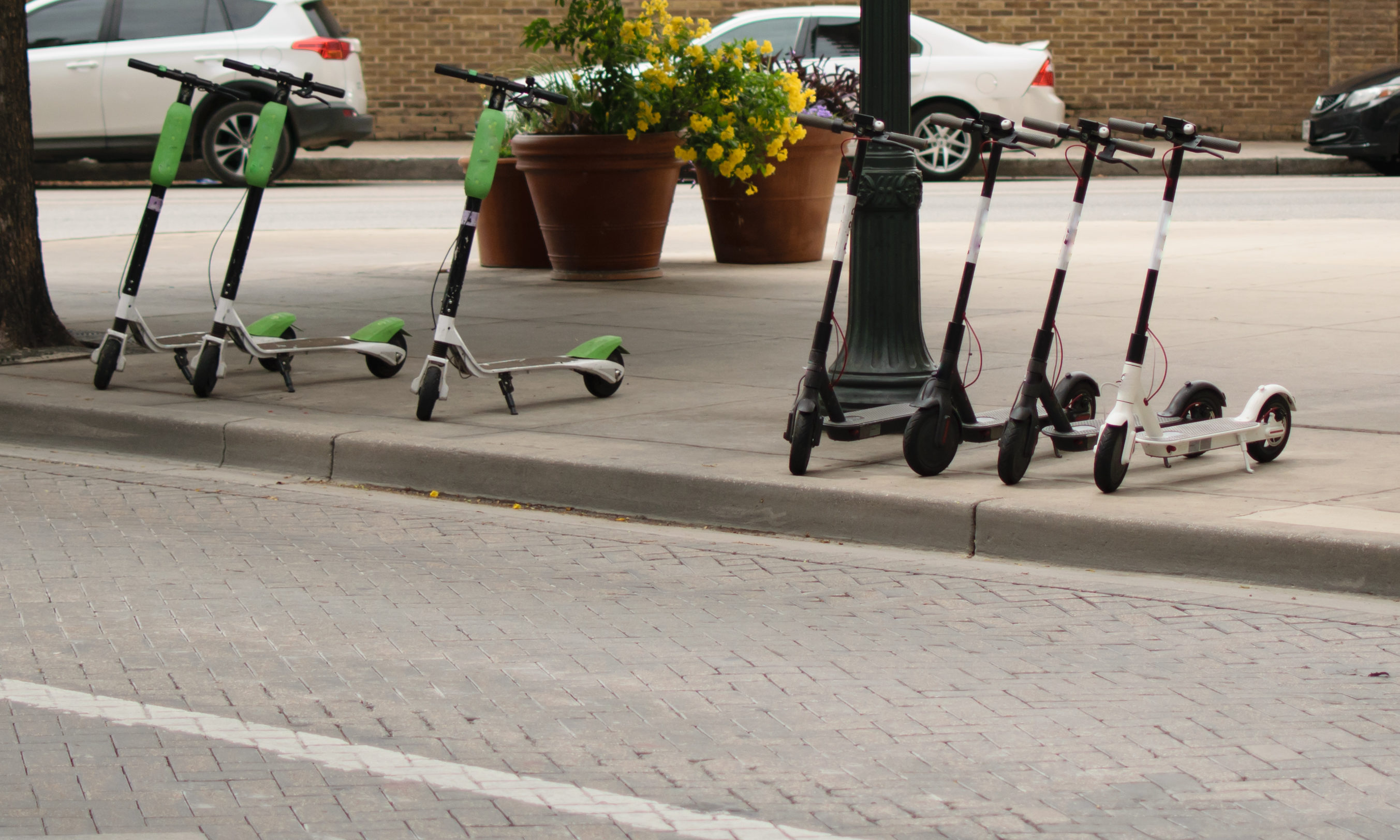Navigating Texas’ Electric Scooter Craze