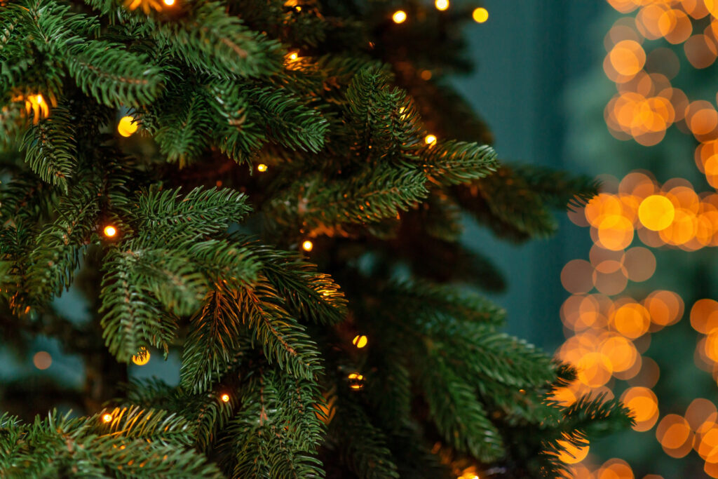 Master the Festive Quest with This Christmas Tree Guide