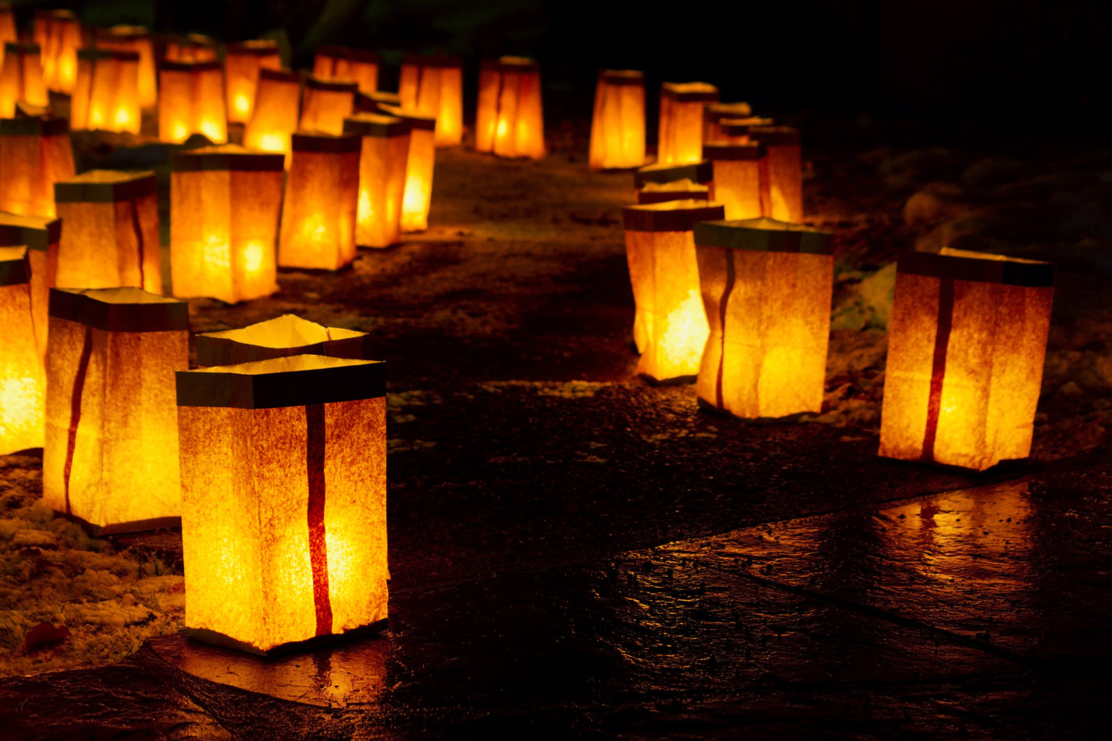 Make Holiday Magic With Luminarias