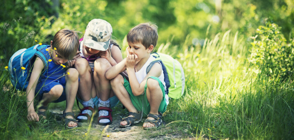 Creepy-Crawlies 101: Teaching Kids to Care for Texas Insects