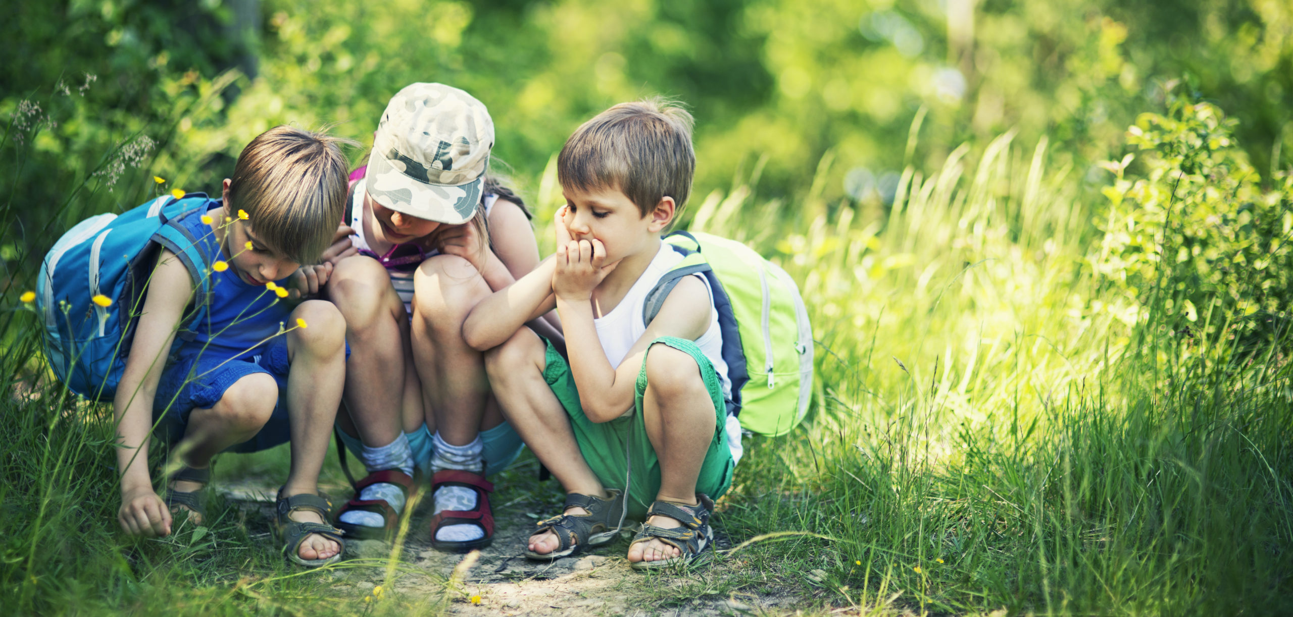 Creepy-Crawlies 101: Teaching Kids to Care for Texas Insects