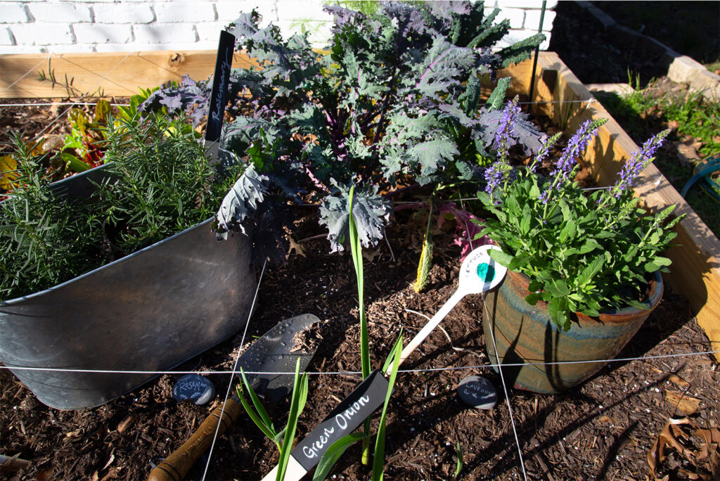 4 Cute Plant-Marker Ideas