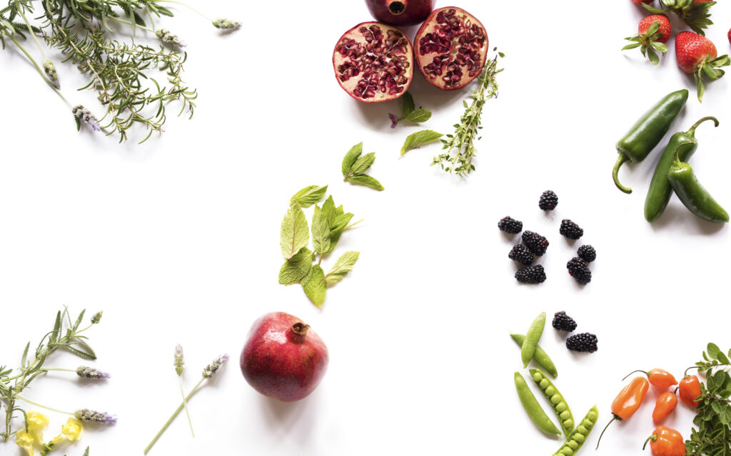 You’ll Dig This Edible Garden