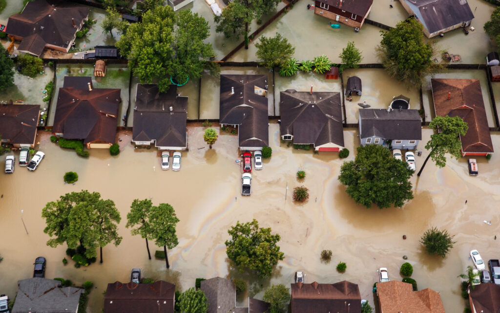 Survivors’ Tales of Hurricane Harvey