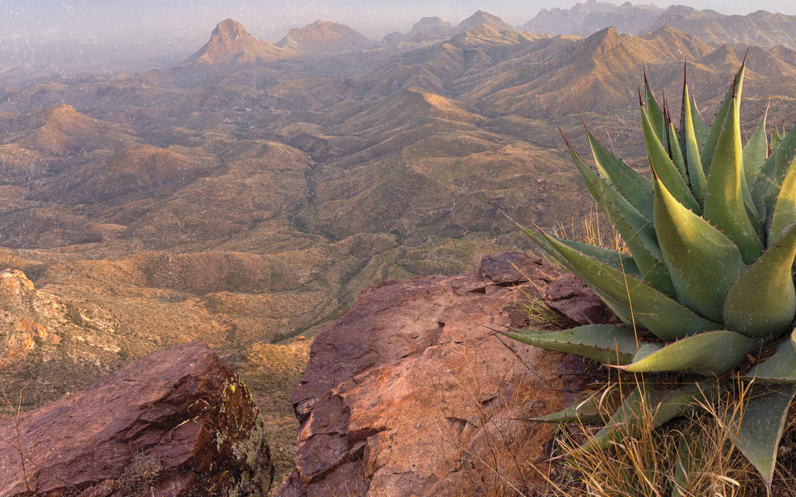 Field Guide to Texas’ National Parks