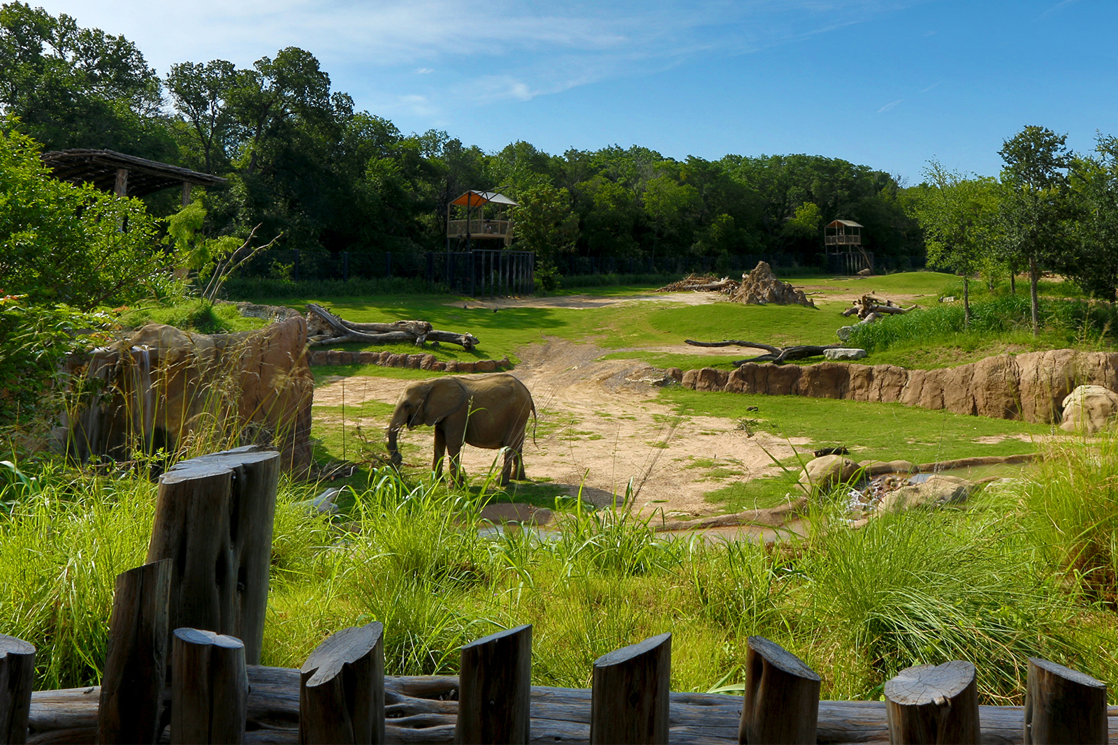 10 of the Best Zoos in Texas