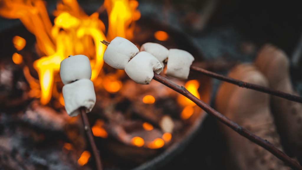 People roasting marshmallows over a fire.