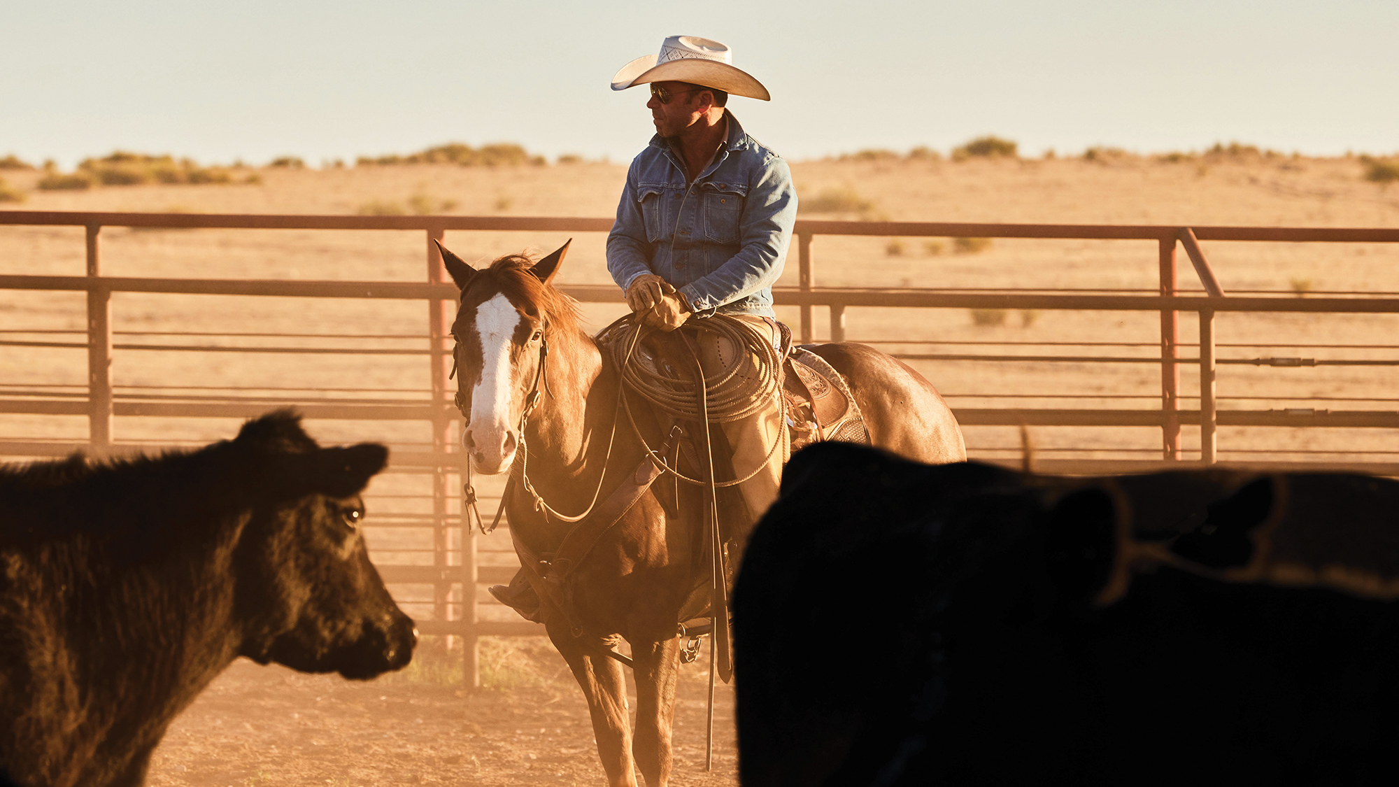 Has Taylor Sheridan Revived the Western Genre?