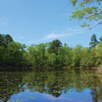 Texas Nature Bucket List