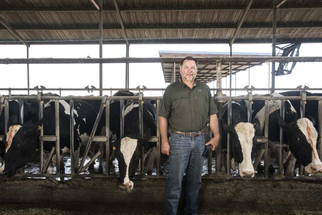 A Day on the Farm at Horizon Dairy