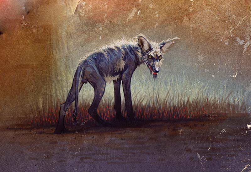 resized_body_texas-heritage-lore-final-art-1-300-crop-cmyk