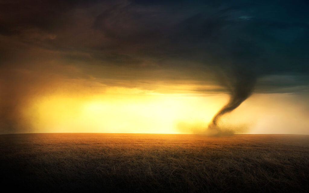 Christmas With a Twister