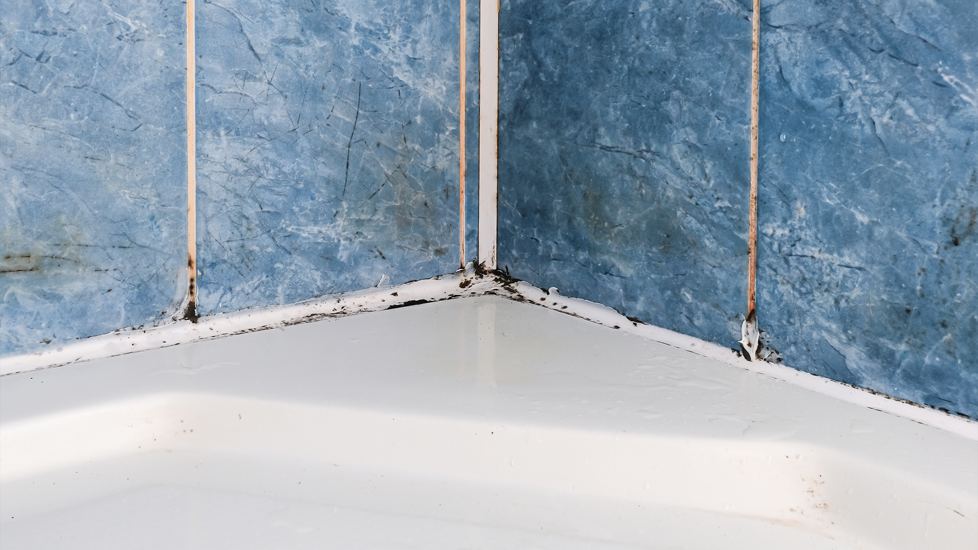 Corner of bathroom with mold on sealant.