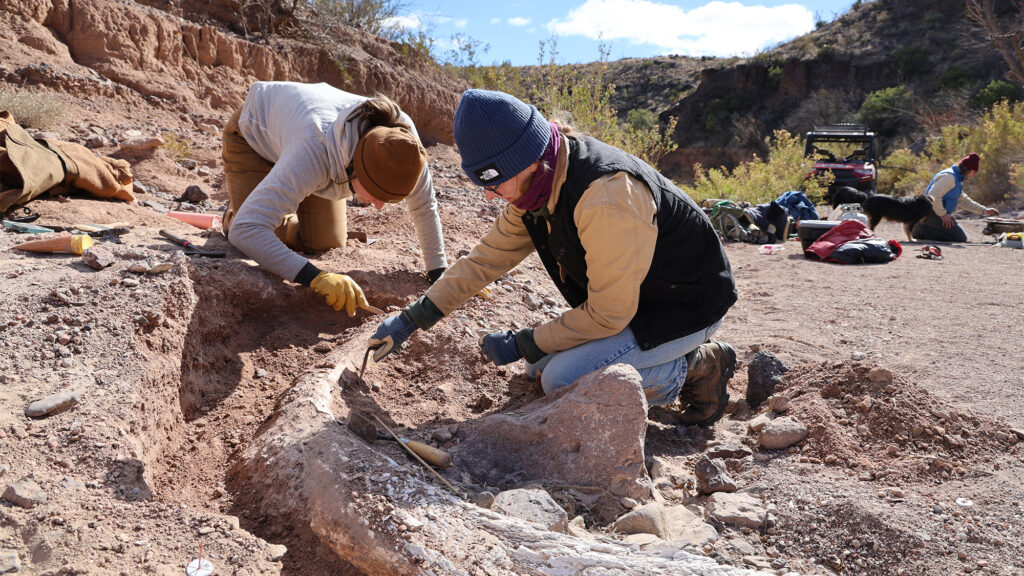 Giant Sloth Fossil Uncovered in Lubbock