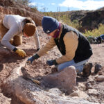 Giant Sloth Fossil Uncovered in Lubbock