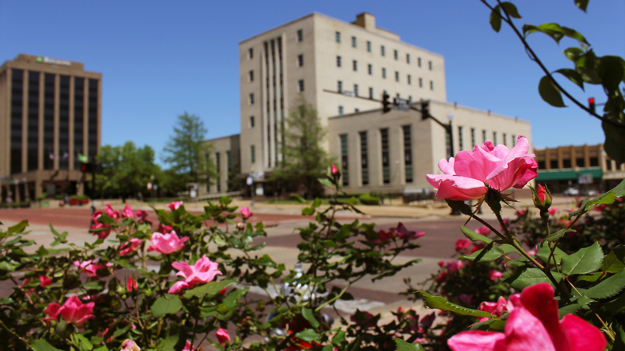Roses in front of building in Tyler.