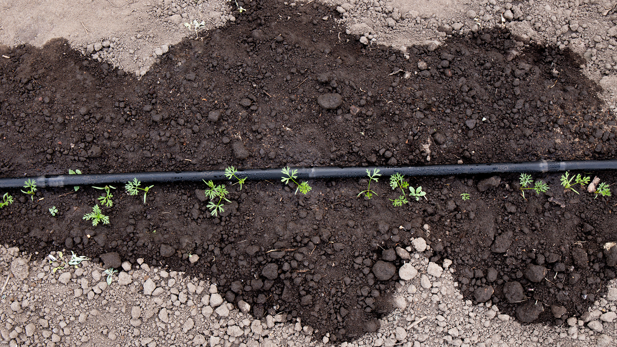 Irrigation for garden.
