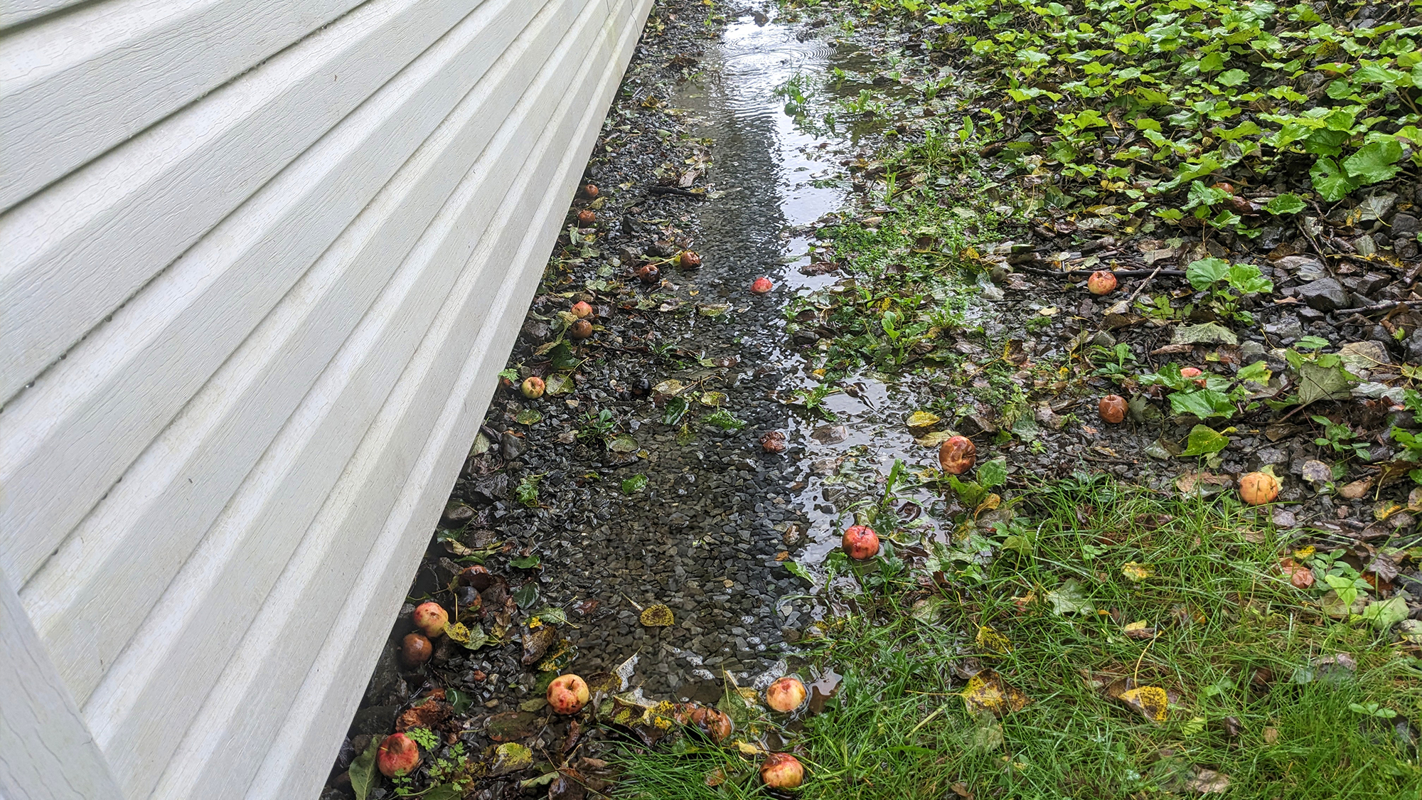 Soil near house that is graded so rain water moves away.