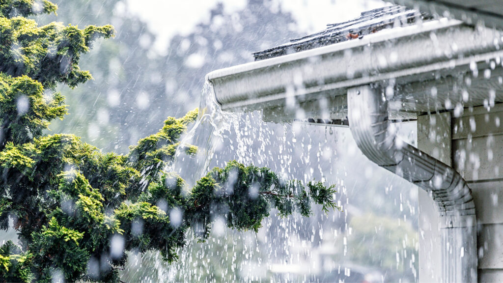 Water Drainage Essentials for Texas Homeowners