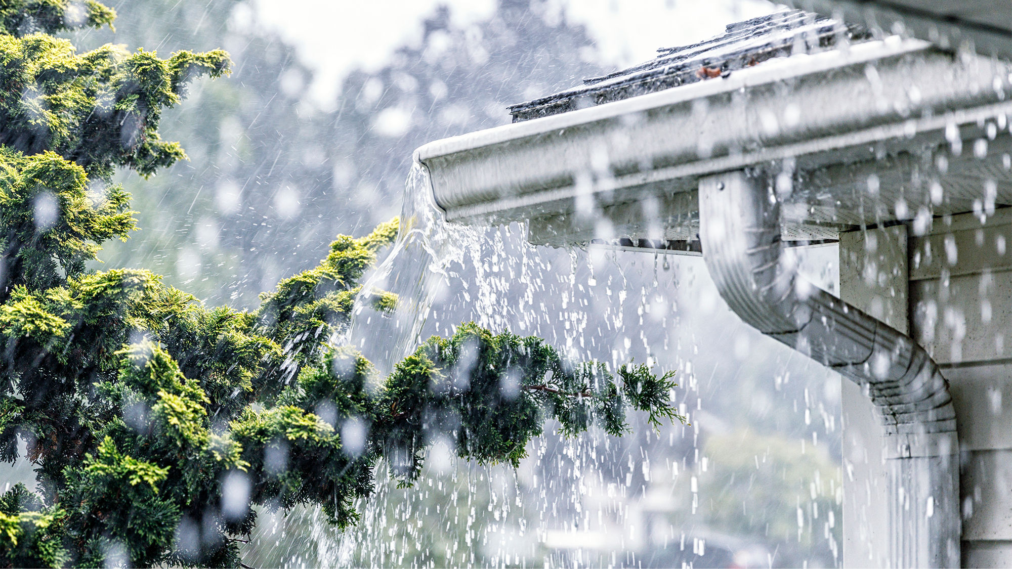 Water Drainage Essentials for Texas Homeowners