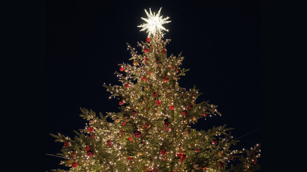 Texas Tree Lightings and Holiday Displays