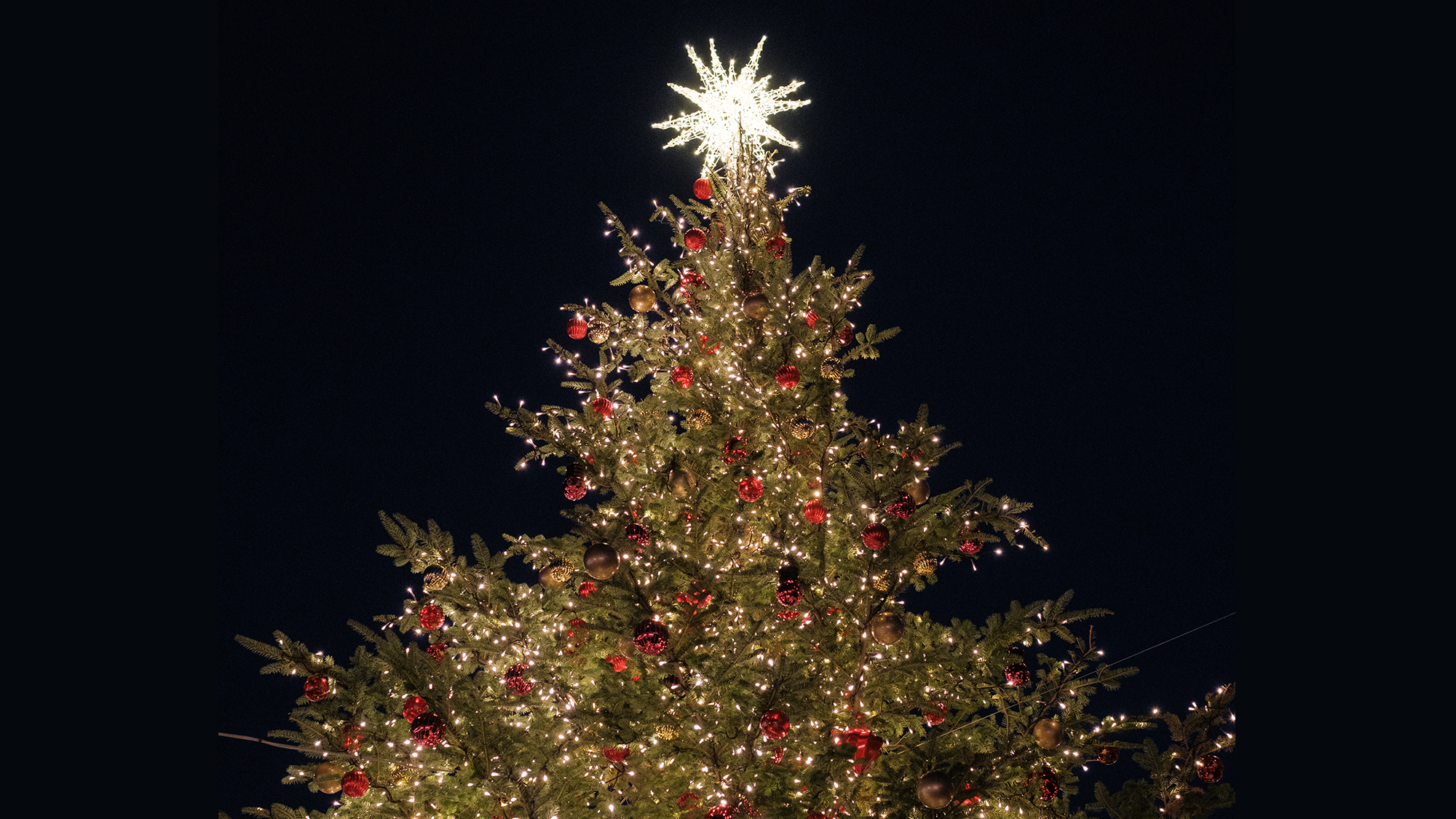 Texas Tree Lightings and Holiday Displays
