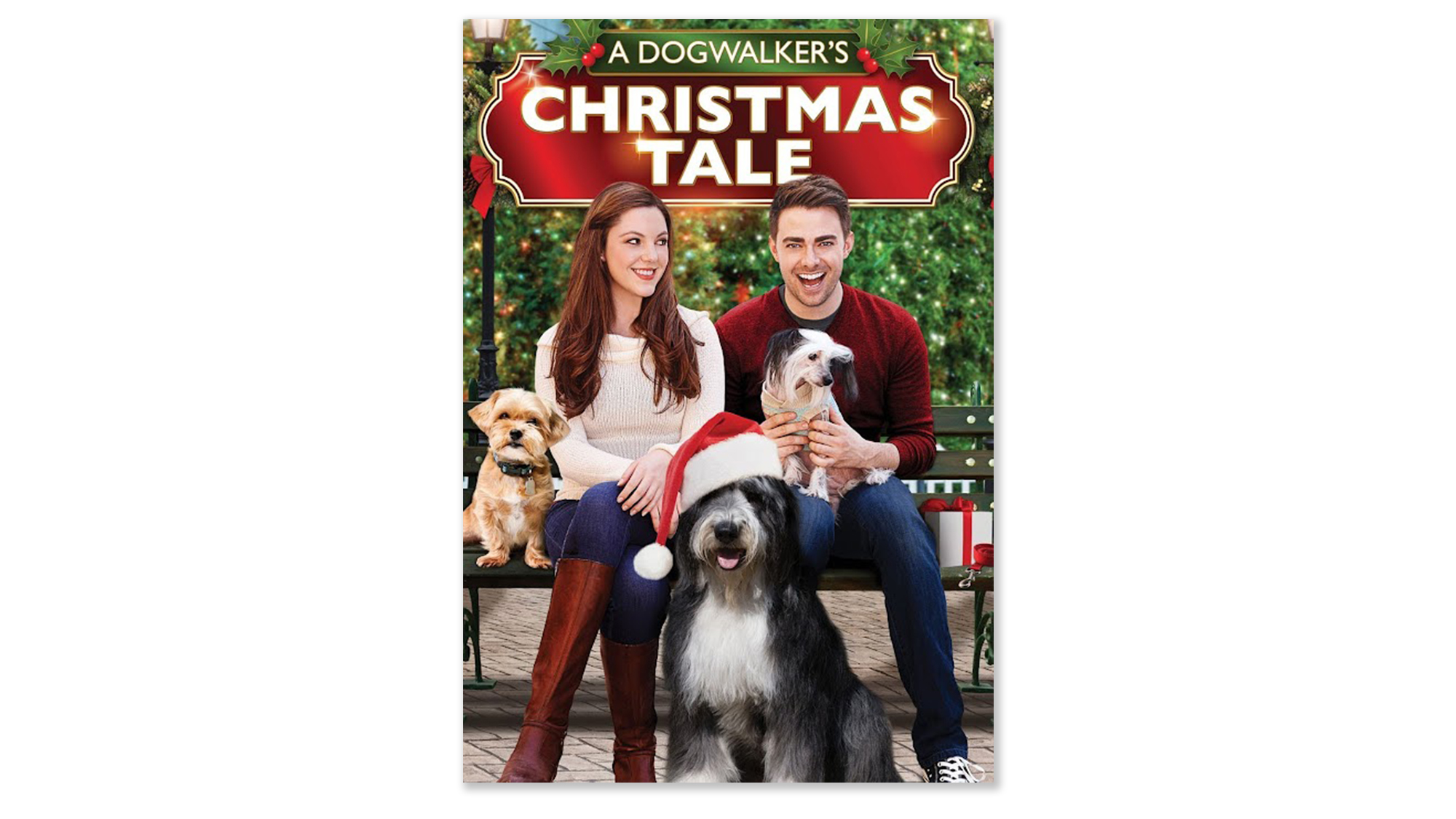 Movie poster for "A Dogwalker's Christmas Tale."