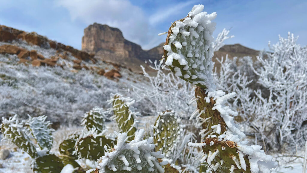 Where to Find Snow in Texas