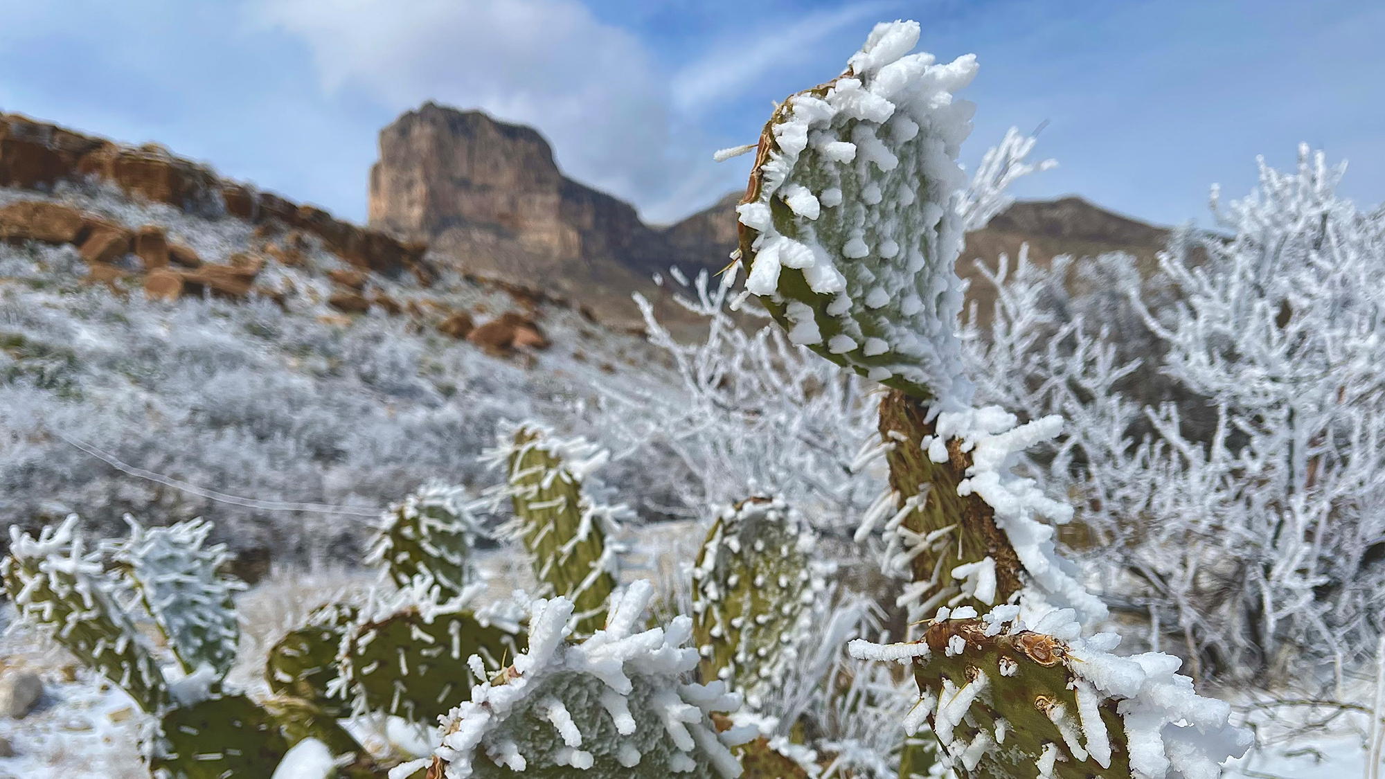 Where to Find Snow in Texas