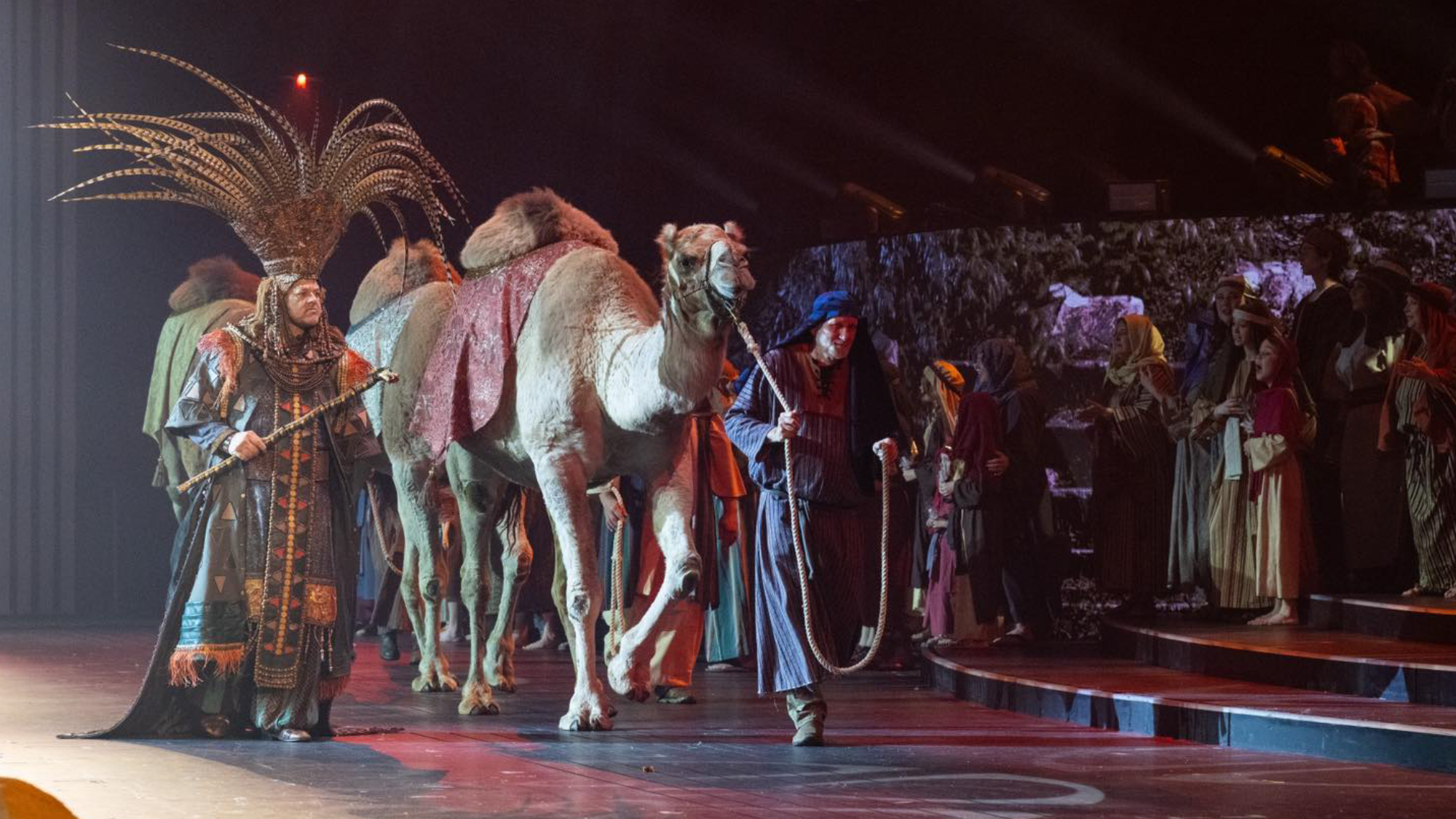 Live nativity scene.