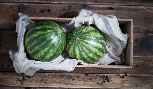 WatermelonSummerVegies-TexasHeritageForLiving