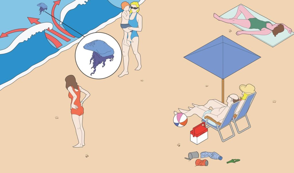 Essential Texas Beach Safety Tips