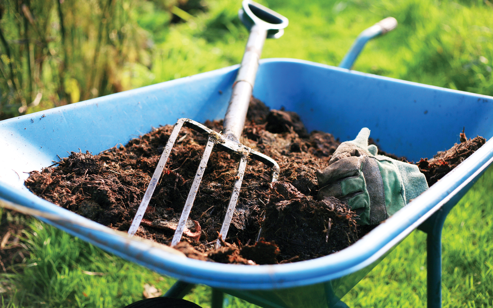 Turn Your Trash Into Treasure With Composting