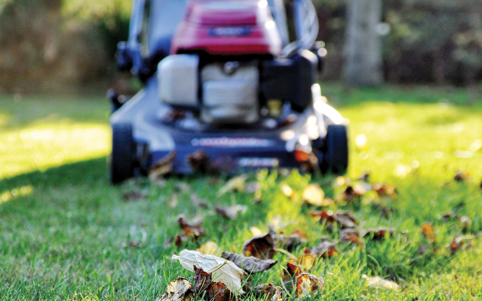 Fall Lawn Care Checklist