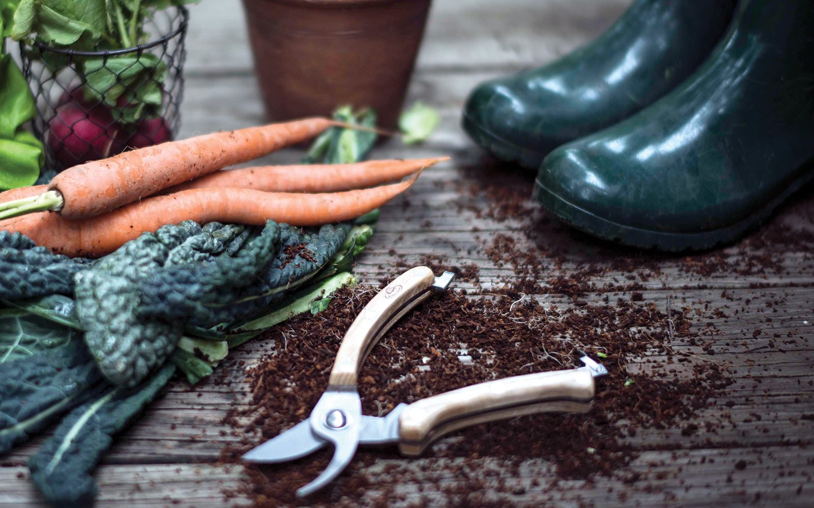 Enjoy the Bounty of Fall Gardens