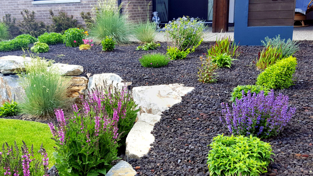 Xeriscaping in Texas