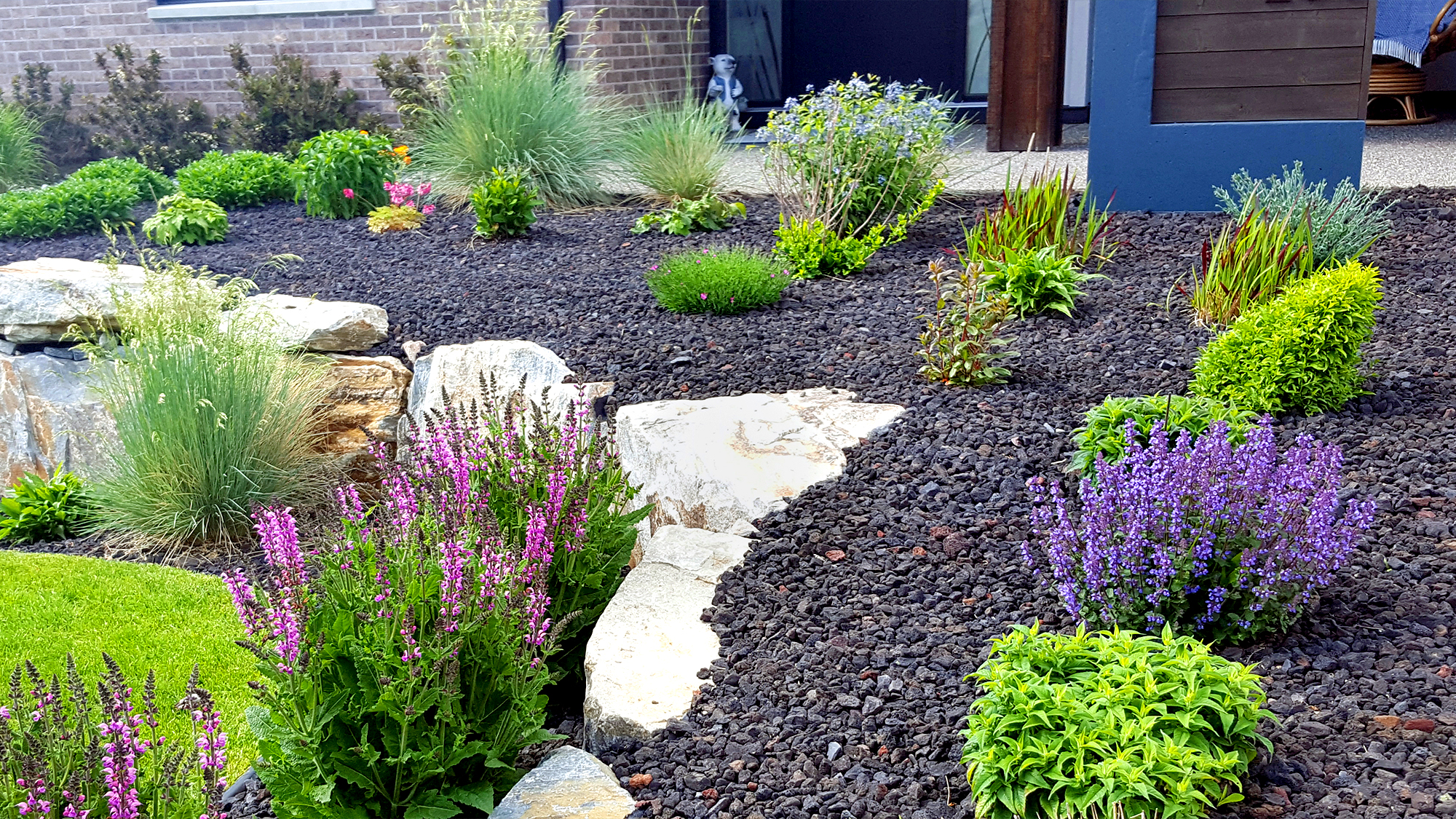 Xeriscaping in Texas