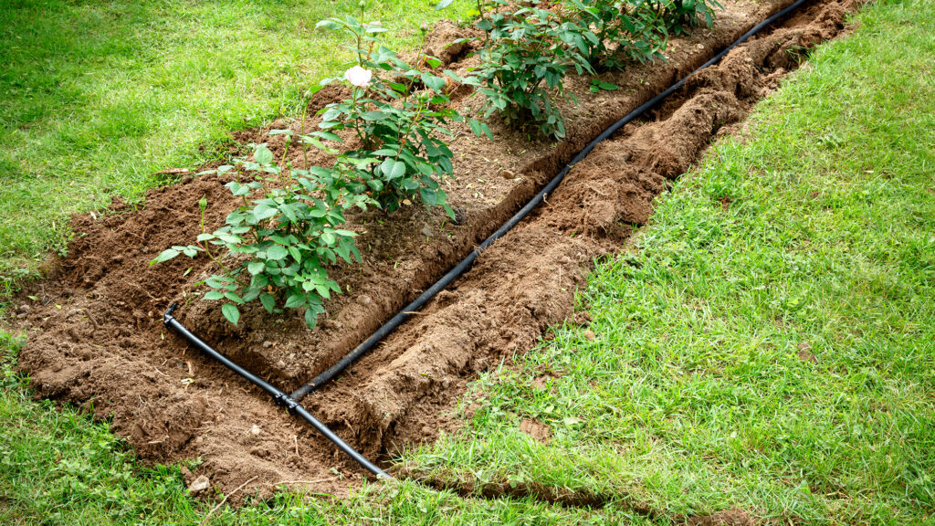 Drought-friendly watering system.