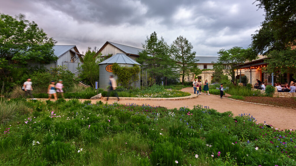 Ladybird Johnson wildflower center.
