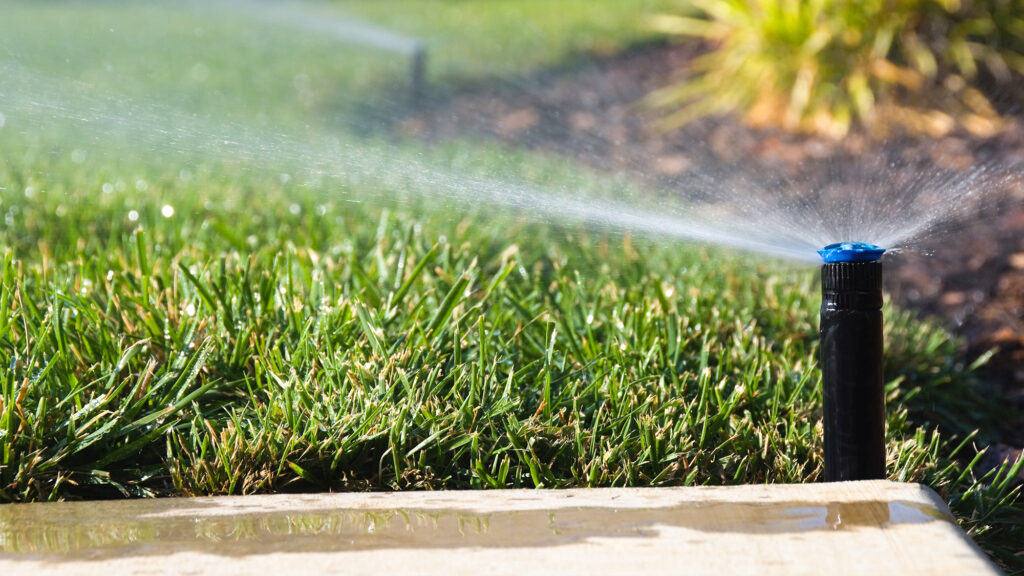 Sprinkler watering grass.