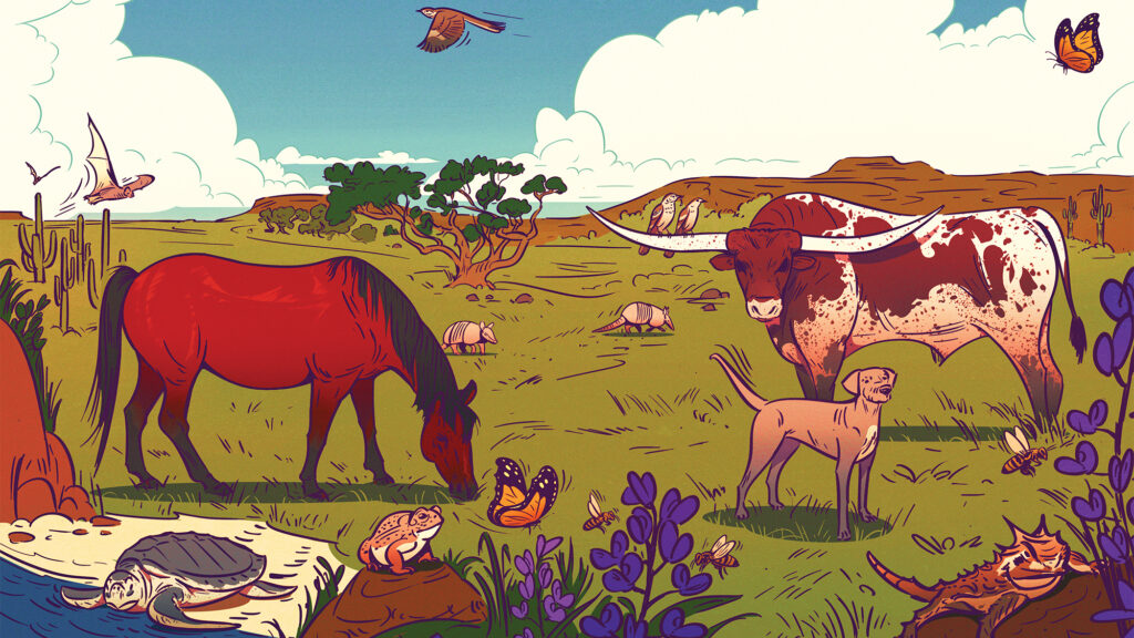 Meet Texas’ State Animals