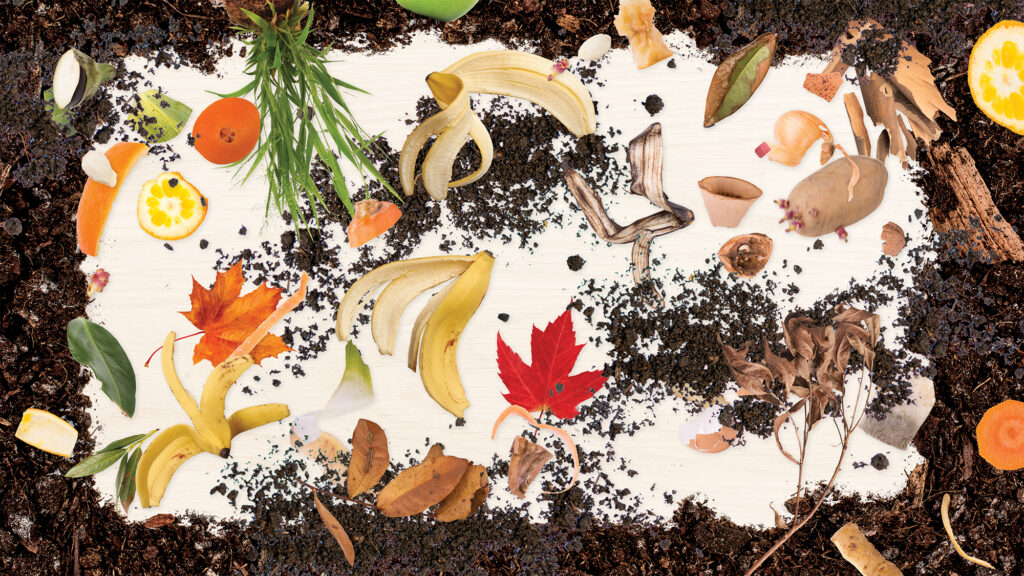 A Fall Composting Guide