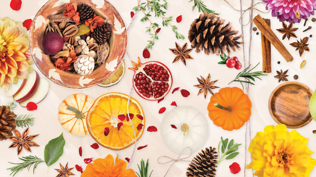 DIY Autumn Potpourri