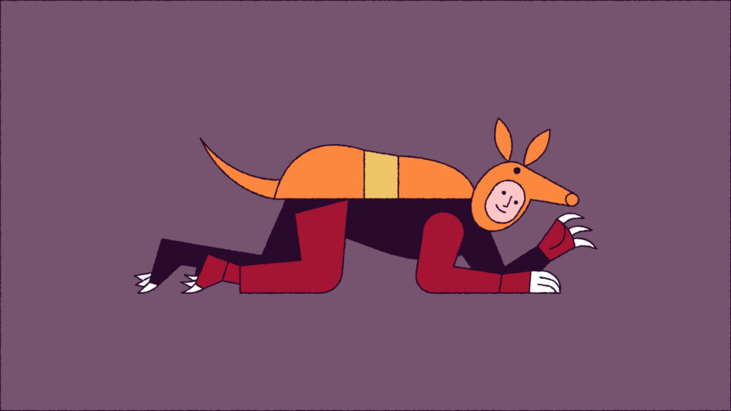 Illustration of armadillo costume.